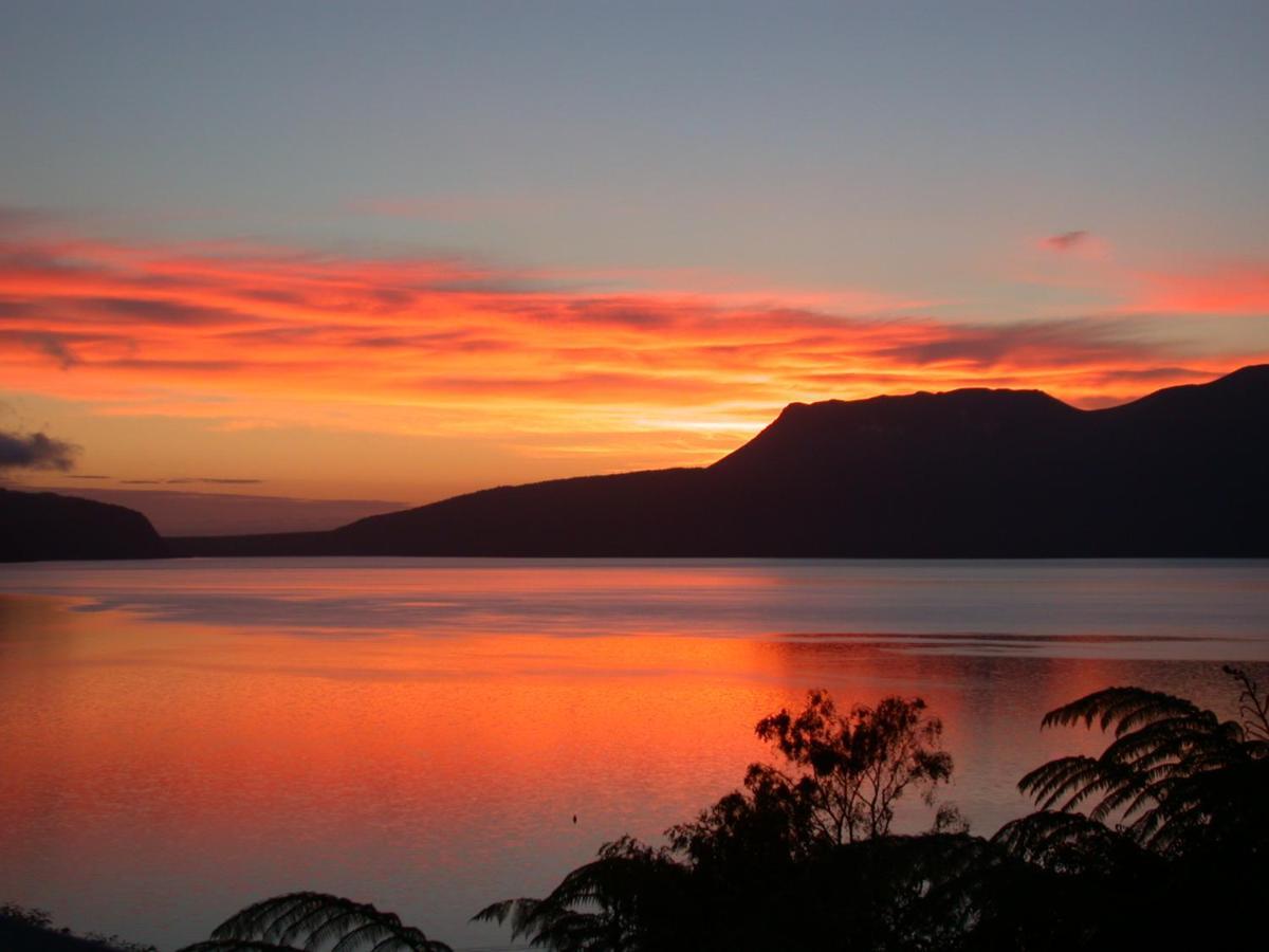 Te Whare -Lake Tarawera Tree-Top Nest Hotel Exterior photo